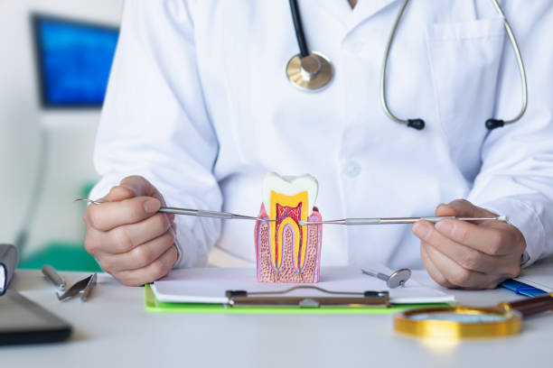 Best Emergency Dentist for Special Needs Patients in San Marino, CA
